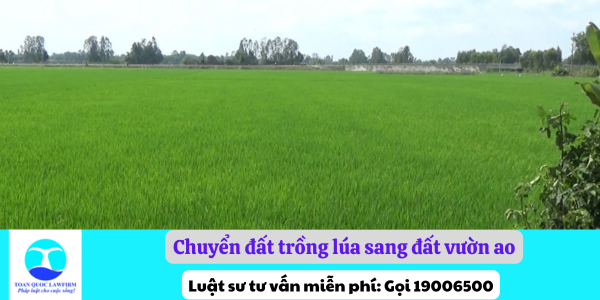 Chuyển đất trồng lúa sang đất vườn ao có được không?